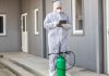 Dératisation professionnelle : solutions efficaces pour lutter contre les nuisibles