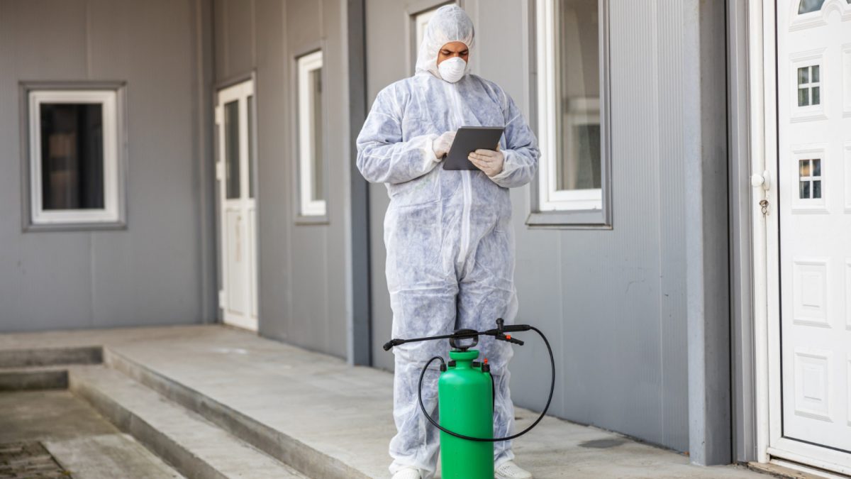 Dératisation professionnelle : solutions efficaces pour lutter contre les nuisibles