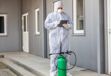 Dératisation professionnelle : solutions efficaces pour lutter contre les nuisibles