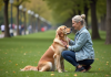 Chien : pensées et lien avec son maître, décryptage d’une relation unique Femme en jean avec son retriever dans un parc paisible