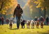 Promeneur de chiens avec plusieurs chiens dans un parc en ville ensoleille