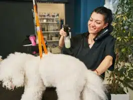 Cosmétiques pour animaux : un moyen de choyer votre fidèle compagnon