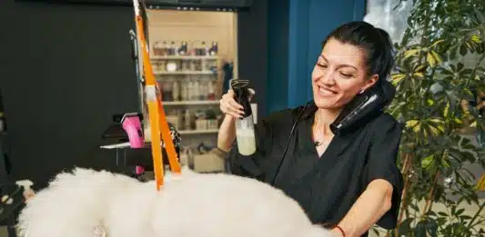 Cosmétiques pour animaux : un moyen de choyer votre fidèle compagnon